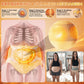 🌸Moringa & Berberine 4-in-1 shorts – microdeeltjes voor vormende en vetverbrandende werking