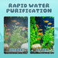 Aquarium Stil Elektrisch Filter