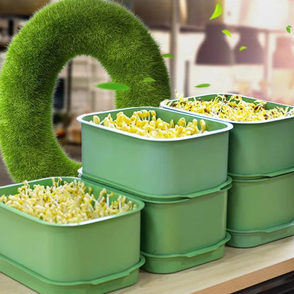 🧩 NU 50% KORTING! ⚡ Stapelbare taugékweekbak – Praktische thuiskweekset, voedselveilig materiaal, ruimtebesparend gelaagd ontwerp, kweekt eenvoudig verse en gezonde taugé. 🥬