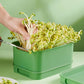 🧩 NU 50% KORTING! ⚡ Stapelbare taugékweekbak – Praktische thuiskweekset, voedselveilig materiaal, ruimtebesparend gelaagd ontwerp, kweekt eenvoudig verse en gezonde taugé. 🥬