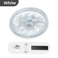 🌞55% korting! 💡2-in-1 dimbare plafondventilatorlamp met afstandsbediening – stil, verstelbaar en ruimtebesparend.