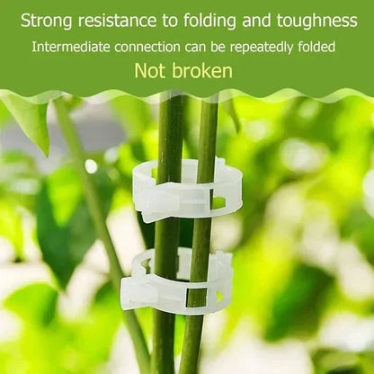 Plantenclips voor klimplanten – Tomatenhouders & Plantenbinders van kunststof