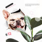 3D verwijderbare muurstickers met katten en honden