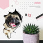 3D verwijderbare muurstickers met katten en honden