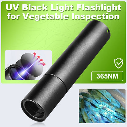 UV-zwartlichtzaklamp voor groente-inspectie