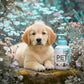 Waterloze Reinigingsshampoo voor Honden en Katten