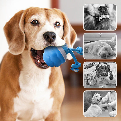 Nu 50% korting! 🎾 Slimme interactieve huisdierenbal 🤖🐕