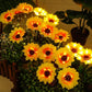 📢📢 50% KORTING !! ⏰🌻 Realistisch & Weerbestendig | Zonnebloem op zonne-energie | IP65 Buitendecoratie