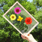 📢📢 50% KORTING!! 💐  Nooit meer saaie boekenleggers! Deze complete DIY-set met transparante & kraft bases, linten en kwastjes maakt van elk boek een botanisch kunstwerk – in 4 stappen!