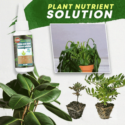 🔥 1+1 gratis (2 flessen) 🔥 Vloeibare plantenvoeding