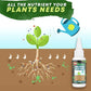 🔥 1+1 gratis (2 flessen) 🔥 Vloeibare plantenvoeding