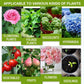🔥 1+1 gratis (2 flessen) 🔥 Vloeibare plantenvoeding