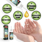 🔥 1+1 gratis (2 flessen) 🔥 Vloeibare plantenvoeding