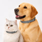 Verstelbare vlooien- en tekenbanden voor honden en katten