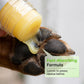 🐾 Hydraterende pootbalsemstick – geneest droge, gebarsten pootjes, veilig voor alle huisdieren.