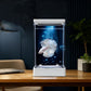 Betta-vissenkom met 7-kleuren LED-verlichting