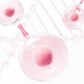 💋 1+1 GRATIS – Matte Lipgloss met Langhoudende Finish | Soepel & Gelijkmatig Aan te Brengen | Mooie Matte Look | Kleuren naar Keuze