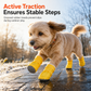 🎁 Sinterklaasactie: 50% korting🐾 Zachte fluwelen puppyschoentjes – warme antislip pootbeschermers voor kleine honden.