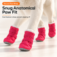 🎁 Sinterklaasactie: 50% korting🐾 Zachte fluwelen puppyschoentjes – warme antislip pootbeschermers voor kleine honden.