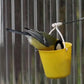 Leuke Reuzenrad Vogelvoeder - Creëer Een Vogelspeeltuin In Je Tuin