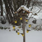 Leuke Reuzenrad Vogelvoeder - Creëer Een Vogelspeeltuin In Je Tuin