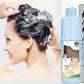 Natuurlijke Plantenextract Bubble Haarverf